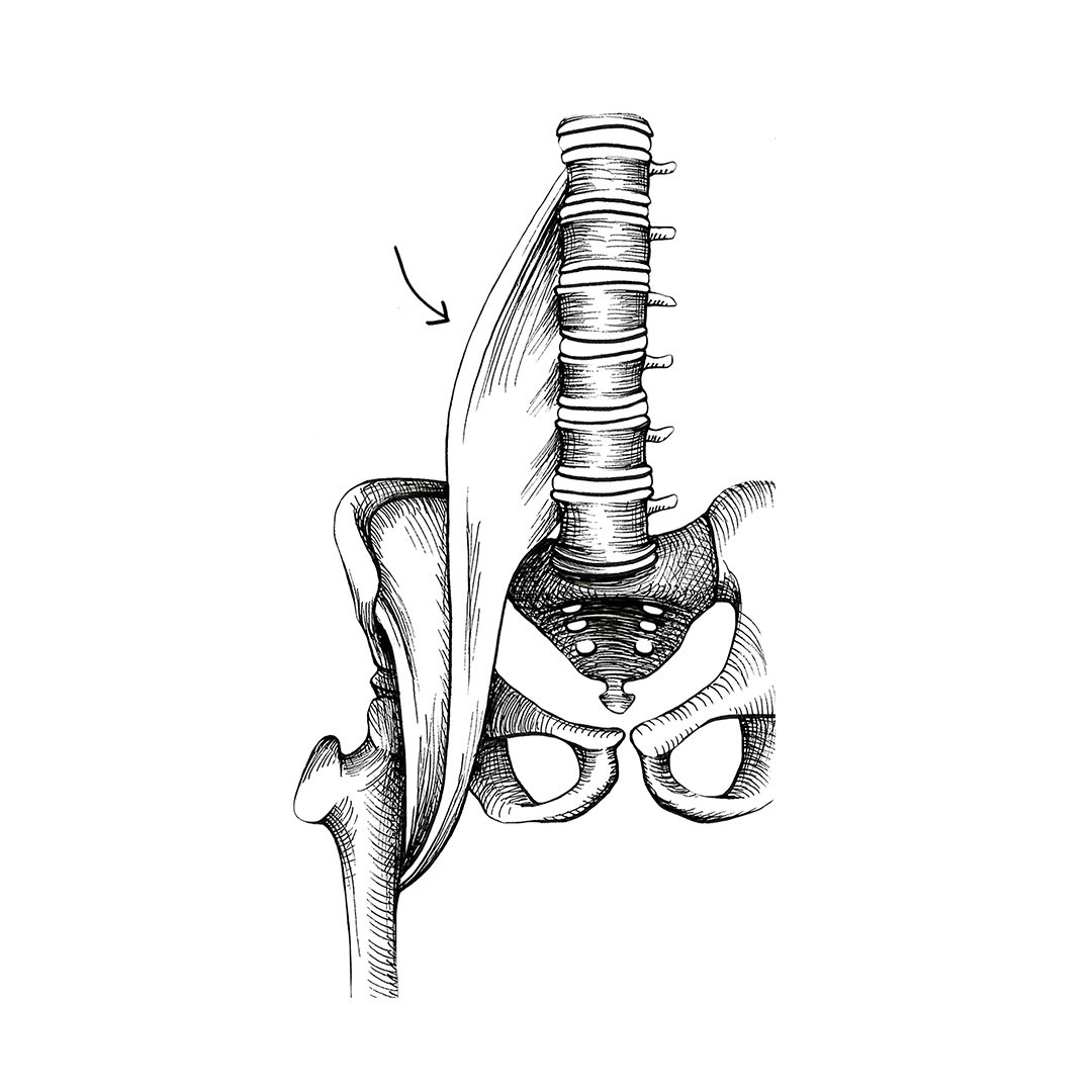 Feature 15 1psoas